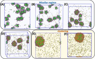 Tuning the ionic character of sodium dodecyl sulphate via counter-ion binding: An experimental and computational study